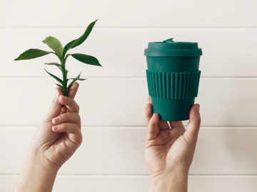 Hand hält einen Coffee-to-go-Becher und ein grünes Bambusblatt