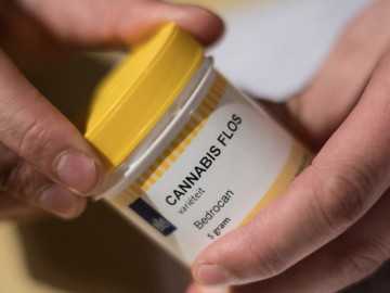 Dose mit Cannabisblüten