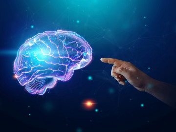 Hologramm des menschlichen Gehirns