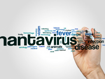 Hantavirus Word-Cloud-Konzept auf grauem Hintergrund