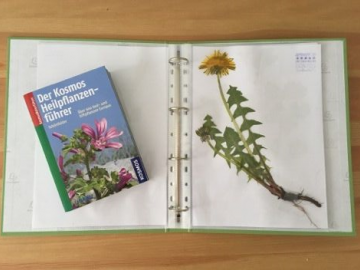 Herbarium von Rieke