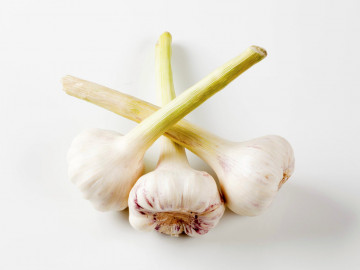 Abbildung von frischem Knoblauch