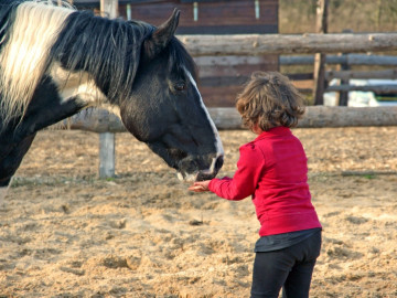 km_reiten_0916