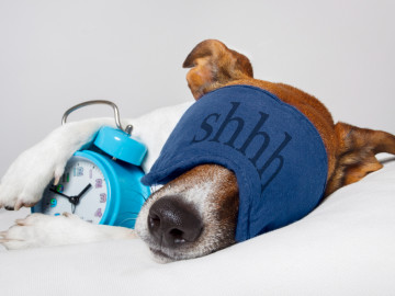 Wer nach der Umstellung auf Sommerzeit gleich nach den neuen Zeiten ins Bett geht, bekommt Schlafstörungen schneller in den Griff. 