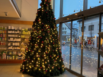 Weihnachtsbaum in der Gabelsberger Apotheke