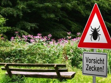 Schild mit Zeckenwarnung in gefährdetem Gebiet im Wald mit Ruhebank