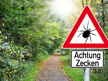 Warnschild Zecken im Wald

 