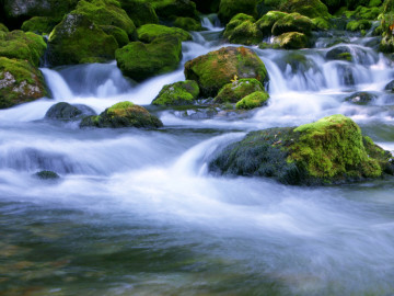 Wasser, das über bemooste Steinbrocken läuft.