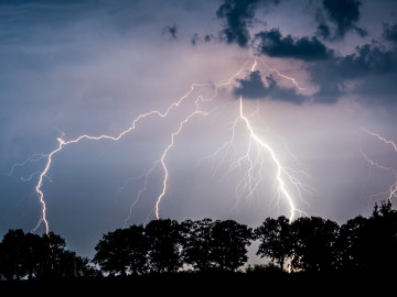 Nächtliches Gewitter mit Blitzen über einer Baumreihe