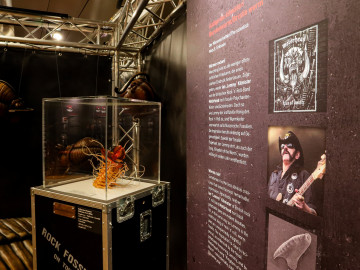 Bild aus der Sonderausstellung „Rock Fossils feat. The Rolling Stoneflies“ im Naturkundemuseum Stuttgart – Museum am Löwentor