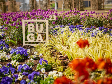 Blütenmeer auf der BUGA 23 in Mannheim