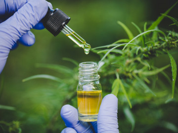 Pipette mit Öl, im Hintergrund Cannabispflanze