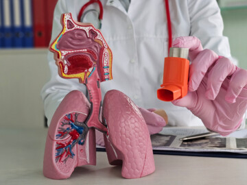 Anatomisches Lungenmodell im Vordergrund. Ein Arzt hält ein Dosieraerosol in die Kamera