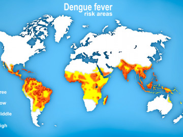Weltkarte, die Verbreitung von Dengue-Fieber anzeigt
