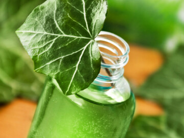 Efeublatt in einer Flasche mit grüner Flüssigkeit