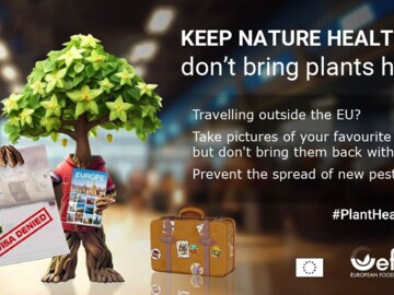 Plakat zur EU-Kampagne #PlantHealth4Life 