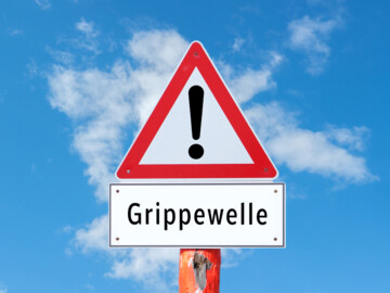 Dreieckiges Warnschild mit Ausrufezeichen, darunter ein rechteckiges Schild mit der Aufschrift „Grippewelle“