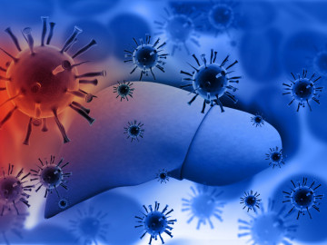Leberinfektion mit Hepatitisvirus
