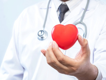 Arzt hält einen roten Ball in Herzform in der Hand
