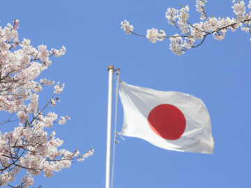 Japanische Flagge vor blauem Himmel umrahmt von Kirschblüten