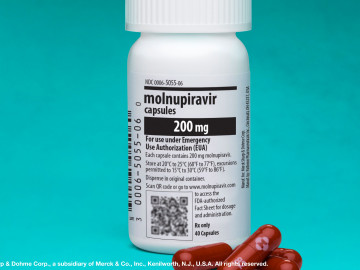 Molnupiravir
