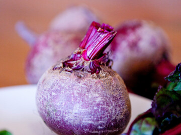 Rote Rübe 