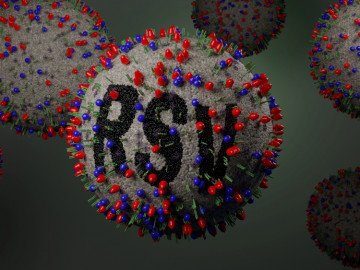 Illustration des Respiratory Syncytial Virus (RSV)