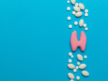Schilddrüsenmodell auf blauem Hintergrund. Ober- und unterhalb verschiedene weiße Tabletten.
