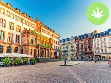 Schlossplatz in Wiesbaden und Cannabissymbol