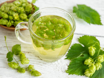 Hopfen