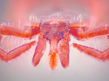 09pta_F_178646192