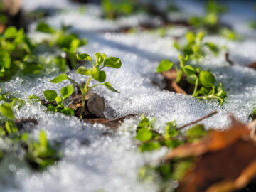 11pta_AdobeStock_408354764