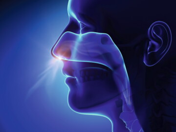 11pta_Rhinosinusitis_istockphoto-496520013