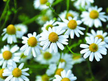 10pta_AdobeStock_141703516