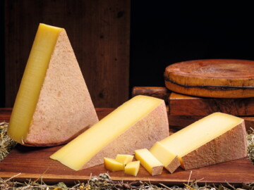 12pta_AdobeStock_465644724_Preview