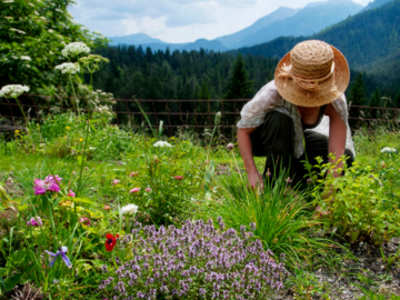 Frau in der Natur (Berge)