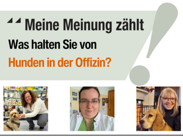 Meine Meinung zählt: Hunde in der Offizin